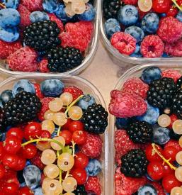 Sveže sadje in zelenjava Dolenjska