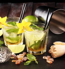 Ambassador sirupi Ljubljana, okolica