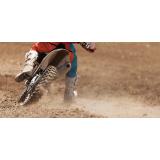 Bogdan Repolusk s.p.