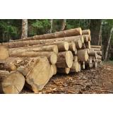 Damjan Golovrški s.p.