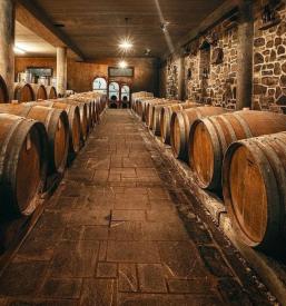 Olivna in bučna olja Slovenija, EU