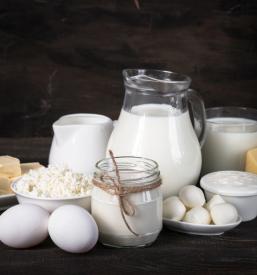 Dnevno sveže mleko in mlečni izdelki Jezersko, Gorenjska