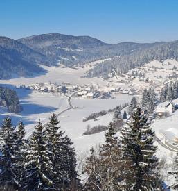 Vodenje planinskih pohodov Medvode