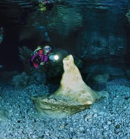 Potapljaška svetilka Novo mesto