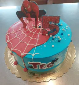 Torta za otrokov rojstni dan Obala