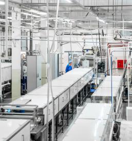 Ugodne paletne linije Slovenija