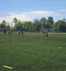 Organizacija športnih tekem Ljubljana