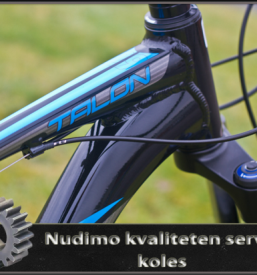 Velika izbira koles Postoja