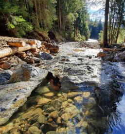 Kvalitetno izvajanje gradbenega nadzora Slovenija