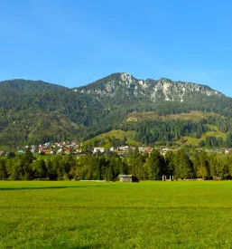 Samostojna namestitev z lastno kuhinjo Žirovnica