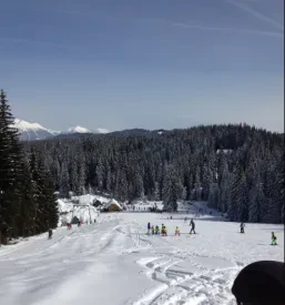 Športne dejavnosti na Pokljuki