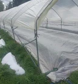Obisk živinorejske kmetije Gorenjska