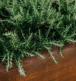 Krajinska arhitektura Štajerska, Slovenija