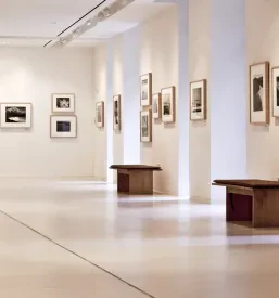 Obisk likovne galerije Štajerska