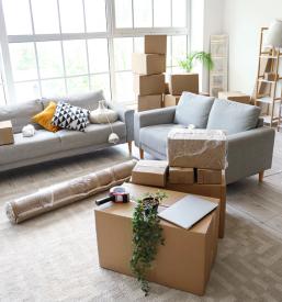 Kombi selitve Štajerska