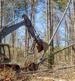 Sečnja in spravilo lesa Črnomelj, Slovenija, Avstrija