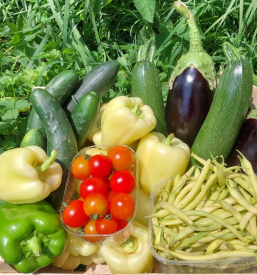 Izdelki iz sadja in zelenjave Gorenjska