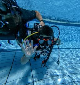 Športna rekreacija Nova Gorica, Goriško
