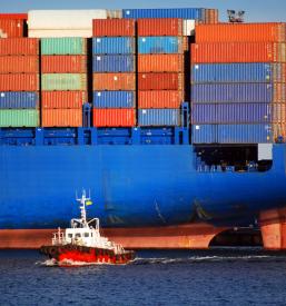 Mednarodni prevozi Celje, Savinjska