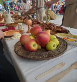 Ohranjanje srednjeveških plesov Celje, Slovenija