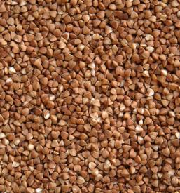 Predelava koruze in pšenice Bizeljsko