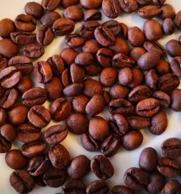 The best coffee Piran