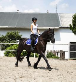 Šola jahanja Gorenjska