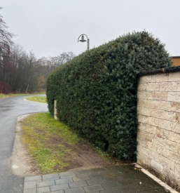 Obrezovanje meje okrog hiše