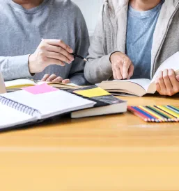 Online inštrukcije matematike Bled