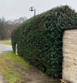 Poceni urejanje okolice Pomurje