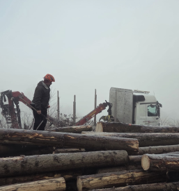 Odkup lesa na koroški kmetijski zadrugi