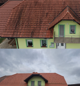 Pranje fasade Celje, Savinjska