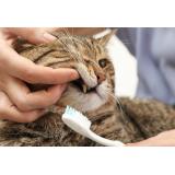 Monica Paradiso s.p.