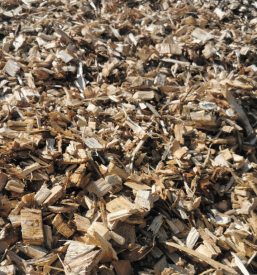 Lesni energenti Murska Sobota