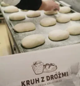 Kisla testa za kruh Fala Slovenija