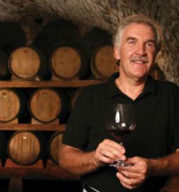 Najboljše belo vino Kras