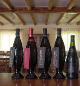 Najboljše domače rdeče vino Kras