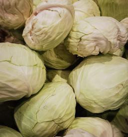 Distribucija sadja Slovenija