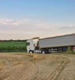 Commercio estero di cereali Italia