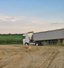 Commercio estero di cereali Italia