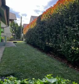 Urejanje vrtov in okolice Ljubljana, Gorenjska