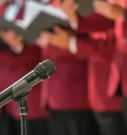 Glasbeni nastopi vokalnega ansambla v Pomurju