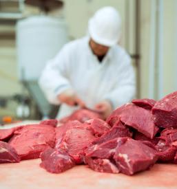 Kvalitetna govedina Štajerska