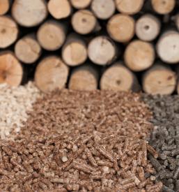 Predelava lesne biomase Slovenj Gradec