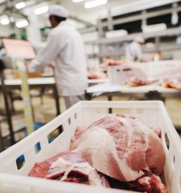 Meso Izbrana kakovost Savinjska