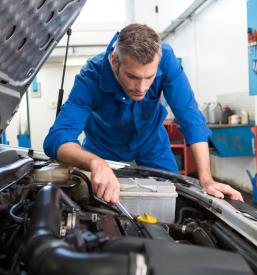 Ugoden avtoličar in avtoklepar Muta