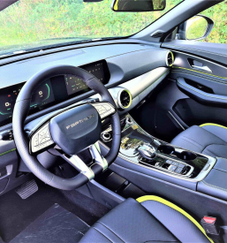 Prodaja osebnih vozil na Dolenjskem