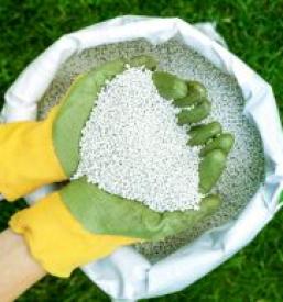 Ugodna gnojila za zdravo rast rastlin Ruše