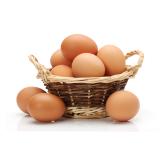 Damjan Vogrinec s.p.