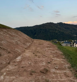 Ureditev dvorišč in dostopnih poti Gorenjska